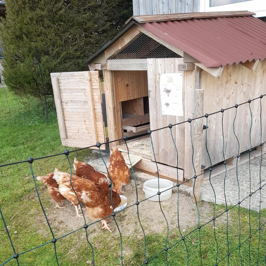Heimenkirch Andreashof 빌라 외부 사진